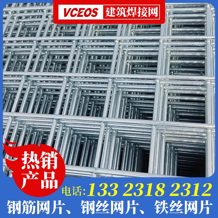 20号钢丝网片