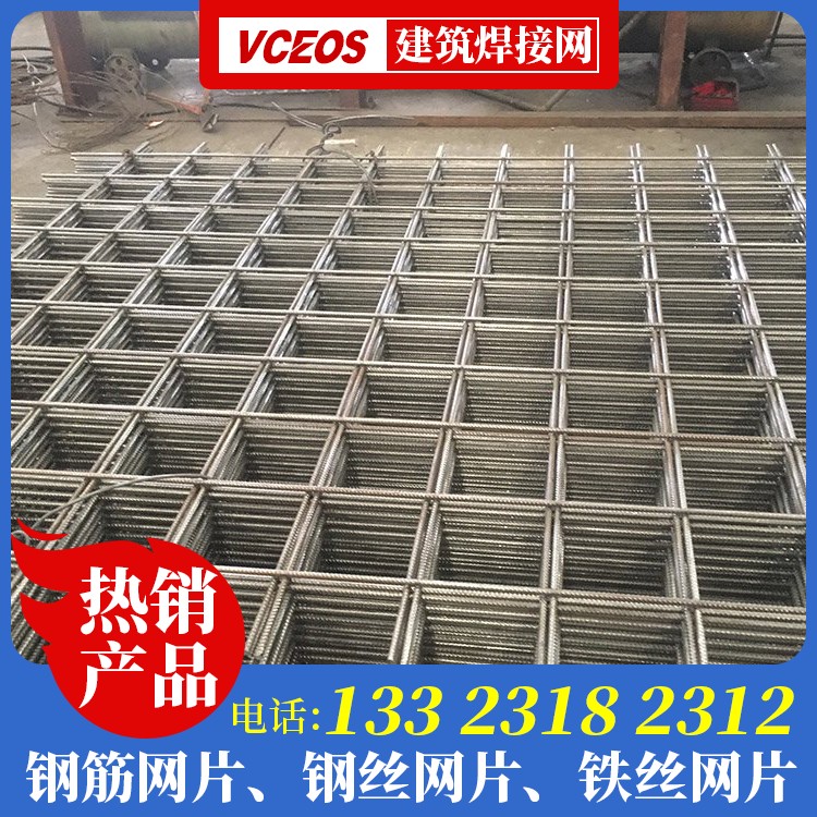 镀锌钢丝网多少钱